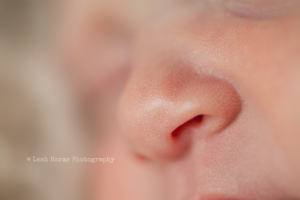 Leah Harms Photography | Columbus Newborn Photographer