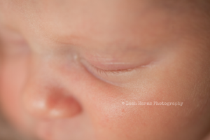 Leah Harms Photography | Columbus Newborn Photographer