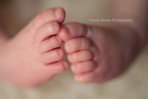 Leah Harms Photography | Columbus Newborn Photographer