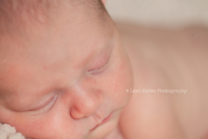 Leah Harms Photography | Columbus Newborn Photographer