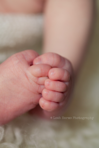 Leah Harms Photography | Columbus Newborn Photographer