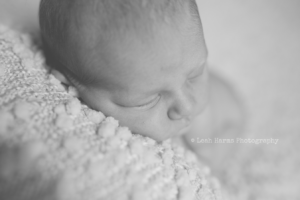 Leah Harms Photography | Columbus Newborn Photographer